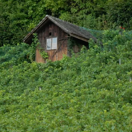 Ferienwohnung Erlach * Erlach